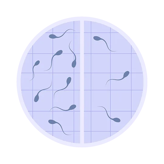 Fertilidade Masculina